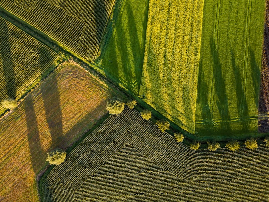 aerial-photography-of-field-xdleutwczdc